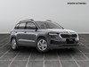 Skoda Karoq 2.0 tdi evo scr 150cv executive dsg