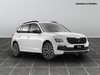 Skoda Kamiq 1.0 tsi 95cv style