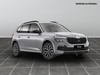 Skoda Kamiq 1.0 tsi 115cv black dots