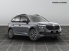 Skoda Kamiq 1.0 tsi 95cv style