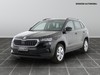 Skoda Karoq 2.0 tdi evo scr 115cv executive