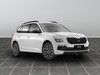 Skoda Kamiq 1.0 tsi 115cv black dots