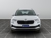 Skoda Karoq 2.0 tdi evo scr 115cv executive dsg