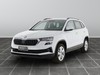 Skoda Karoq 1.0 tsi 115cv executive