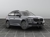 Skoda Kamiq 1.0 tsi 95cv style