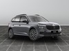 Skoda Kamiq 1.0 tsi 115cv black dots