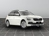 Skoda Kamiq 1.0 tsi 95cv selection