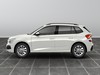 Skoda Kamiq 1.0 tsi 95cv selection