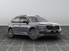 Skoda Kamiq 1.0 tsi 115cv black dots