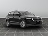 Skoda Karoq 2.0 tdi evo scr 150cv executive dsg