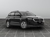 Skoda Karoq 2.0 tdi evo scr 150cv executive dsg