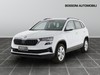 Skoda Karoq 1.0 tsi 115cv executive