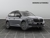 Skoda Kamiq 1.0 tsi 95cv style