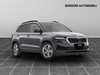 Skoda Karoq 2.0 tdi evo scr 150cv executive dsg