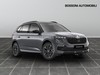 Skoda Kamiq 1.0 tsi 115cv monte carlo