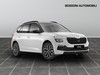 Skoda Kamiq 1.0 tsi 95cv 130 edition