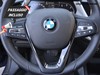 BMW Serie 1 5 porte 116d scr business advantage dct