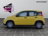 Fiat Panda 1.0 firefly hybrid 70cv s&s