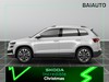 Skoda Karoq 2.0 tdi evo scr 150cv selection dsg